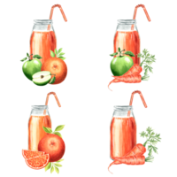Set of orange bottle, carrot, orange and apple. Watercolor illustration PNG for design