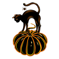 Witch's cat black with spider and web on the pumpkin. PNG illustration for Halloween