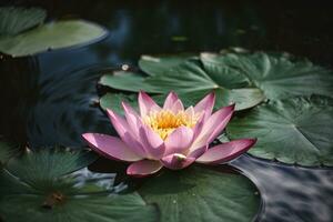 Zen flower lotus in water. AI generated photo