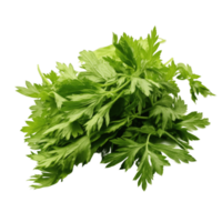 parsley isolated AI Generative png