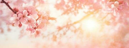Spring border or background art with pink blossom. Beautiful nature scene with blooming tree and sun flare. AI generated photo