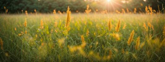 Wild grass in the forest at sunset. Macro image, shallow depth of field. Abstract summer nature background. Vintage filter. AI generated photo