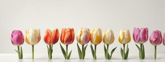 Spring tulip flowers in a row. AI generated photo