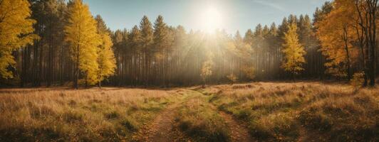 panorámico soleado bosque en otoño. ai generado foto