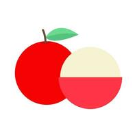 Lychee icon vector, flat design illustration vector