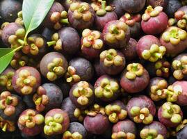 Top view of fresh , sweet and delicious organic mangosteen fruits with leaf for sale in a market - In Thailand it known as Queen of fruits photo