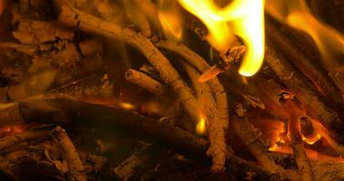 en bois des bâtons dans feu de camp video