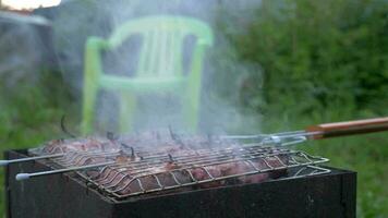 Koken barbecue vlees in brander video