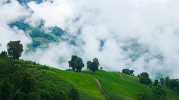 Misty landscape drifting over mountains after rain  beautiful nature of the rainy season photo