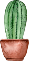 cactus watercolor in a pot.  AI Generated png