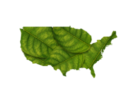 USA map made of green leaves ecology concept png