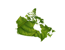 Canada kaart gemaakt van groen bladeren png