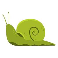 green snail animal vector