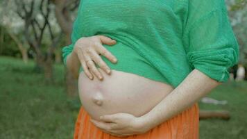 embarazada mujer abrazando barriga al aire libre video