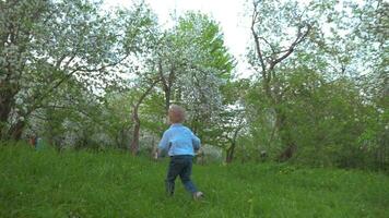 garçon en marchant dans le jardin video