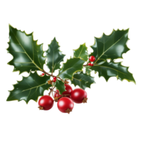 Holly leaves and berries Ai Generative png