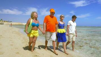 Young and senior people walking at the seaside together video