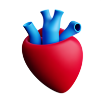 human real heart 3d rendering icon illustration png