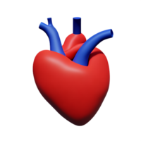 human real heart 3d rendering icon illustration png