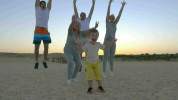 gelukkig springen van groot familie met kind video