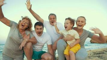 Big happy family waving hands at the seaside video