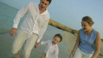 joven familia haciendo divertido en el playa video