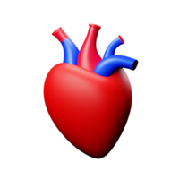 human real heart 3d rendering icon illustration png