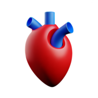 human real heart 3d rendering icon illustration png