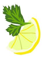 Slice of lemon with leaf of parsley. Vector isolated illustration