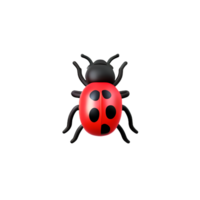 coccinelle 3d le rendu icône illustration png