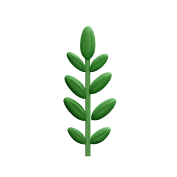 ervas 3d Renderização ícone ilustração png