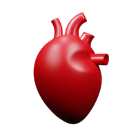 human real heart 3d rendering icon illustration png