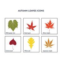 otoño hojas plano icono especial para otoño vector