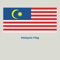 The Malaysia Flag vector