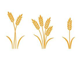 icono de trigo, cebada, arroz. dibujado a mano vector