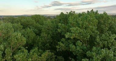 dronie plus de le petit ville de diebourg près darmstadt dans du sud Hesse à le coucher du soleil video