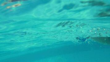 Child enjoying swimming in outdoor pool video