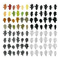 Set of vector silhouettes oak leaves