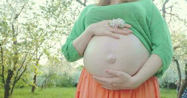 zwanger vrouw omarmen de buik met bloemen in handen video