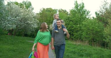 feliz família caminhando dentro a parque depois de compras video