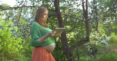 zwanger vrouw hebben een wandelen met stootkussen in de park video