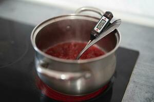 a pan on an electric stove and a thermometer measures the temperature photo