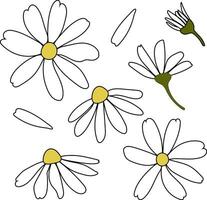 White daisy chamomile flowers. Camomile vector silhouette illustration set. Outline collection. Decoration element. Love card symbol. Flat design for cards, packaging, prints, textile