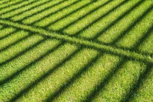 symmetrical shadows from the fence on the green lawn photo