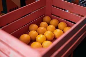 muchos hermosa Fresco naranjas en un rosado caja foto