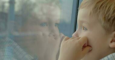 pequeno criança desfrutando Visão a partir de a trem janela video
