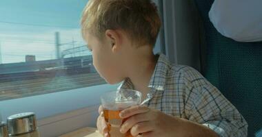 weinig jongen op reis door trein video