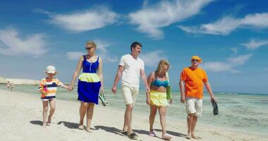 famiglia avendo piacevole camminare su il spiaggia video