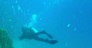 Aqualunger with camera swimming undersea video
