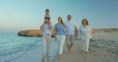 groot familie wandelen door de zee video